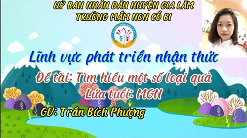 Lĩnh vực phát triển nhận thức